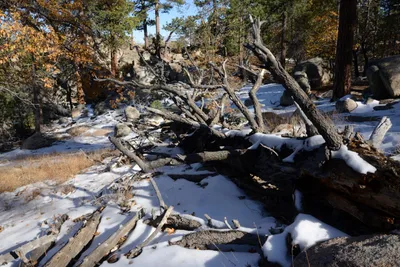 DSC_5149 (Large).JPG